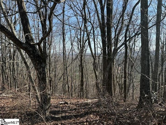 206 Eagle Rock Road, Landrum, SC 29356