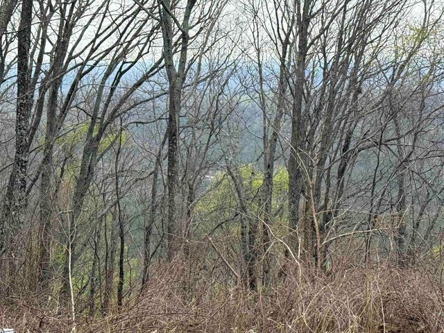 206 Eagle Rock Road, Landrum, SC 29356