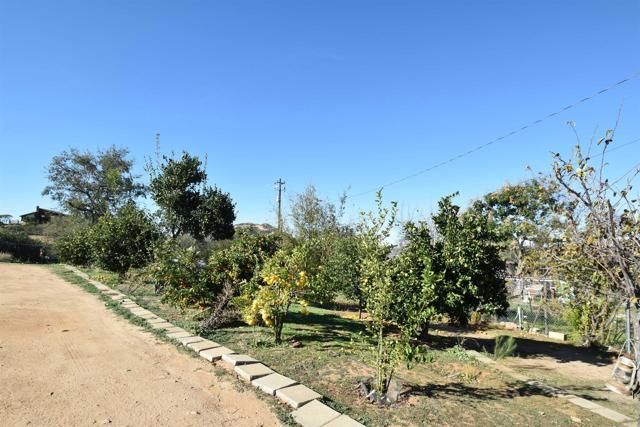 15519 Skyline Truck Trail, Jamul, CA 91935