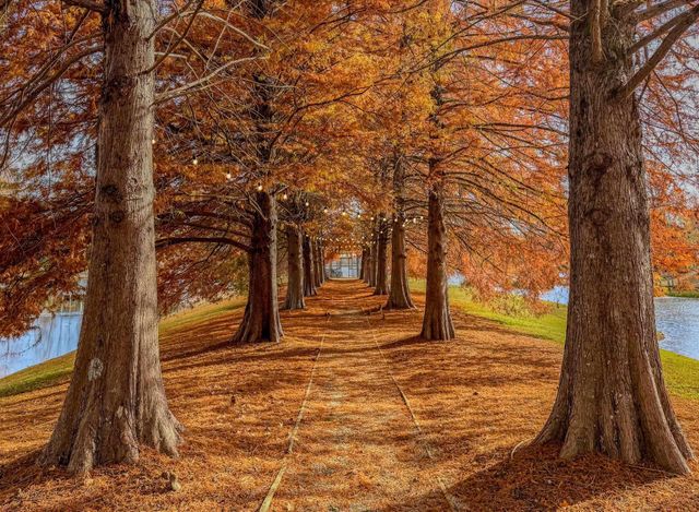 770 Ship Wreck Place, Inman, SC 29349