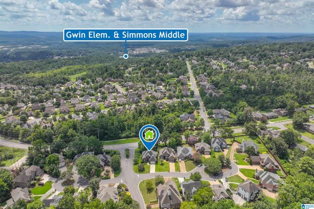 316 W STONE BROOK PLACE, Hoover, AL 35226