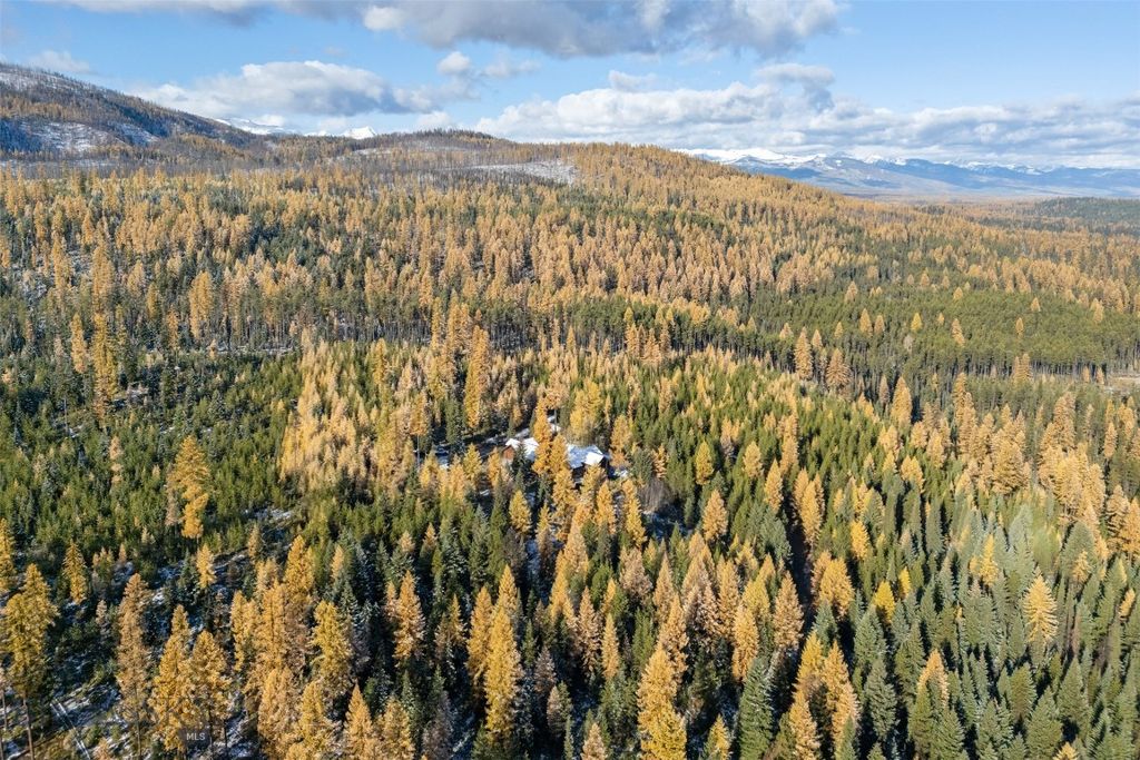 1350 Summit Park Road, Seeley Lake, MT 59868 photo 84