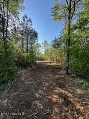Matthews, Tylertown, MS 39667