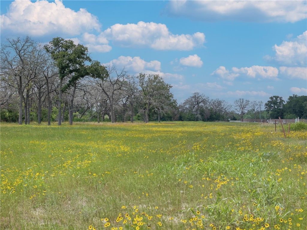 TBD Lot 3 Lake Day Drive, Somerville, TX 77879 — photo 2