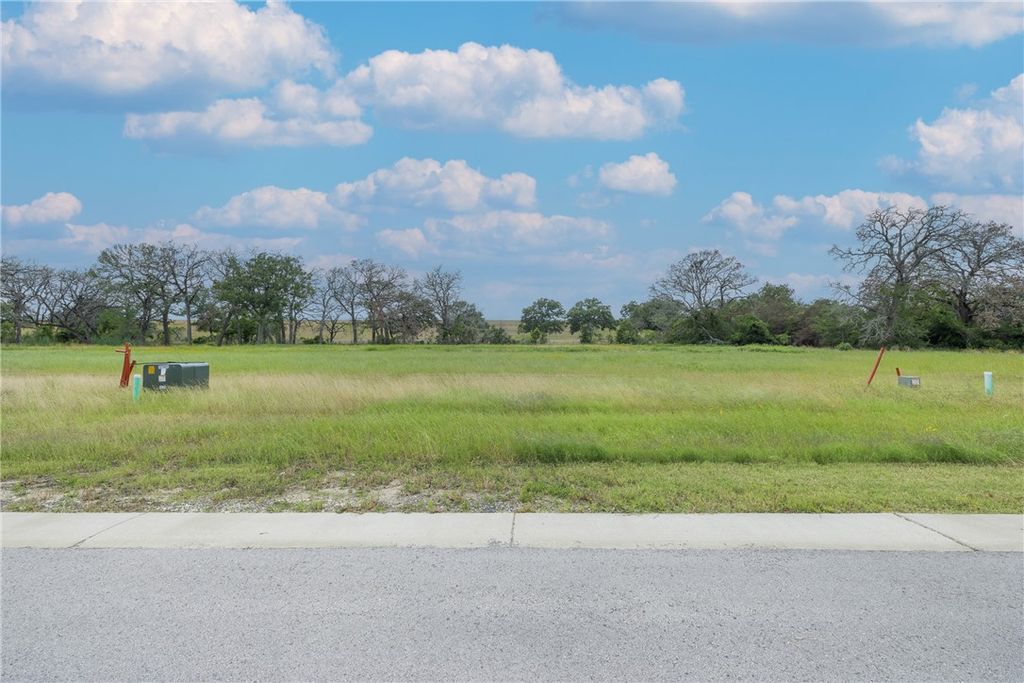 TBD Lot 3 Lake Day Drive, Somerville, TX 77879 — photo 5