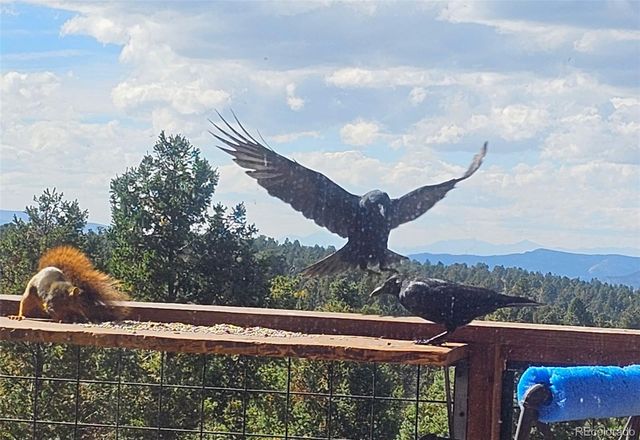 87 Bonanza Circle, Florissant, CO 80816