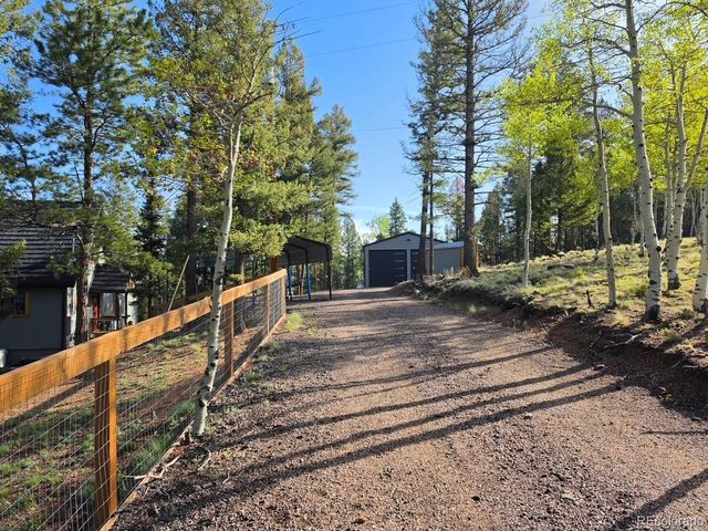 87 Bonanza Circle, Florissant, CO 80816