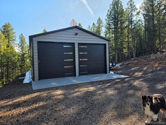 87 Bonanza Circle, Florissant, CO 80816