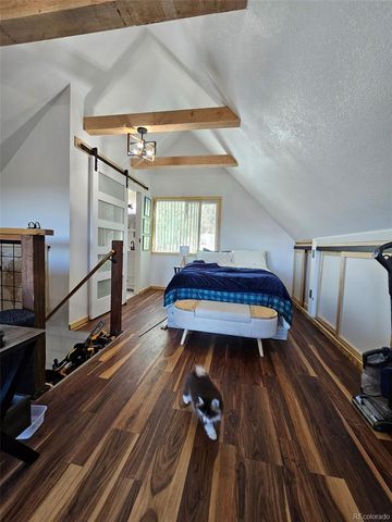 87 Bonanza Circle, Florissant, CO 80816