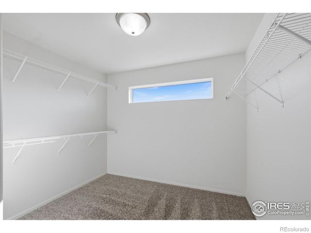 4524 Mountain Sky Street, Johnstown, CO 80534