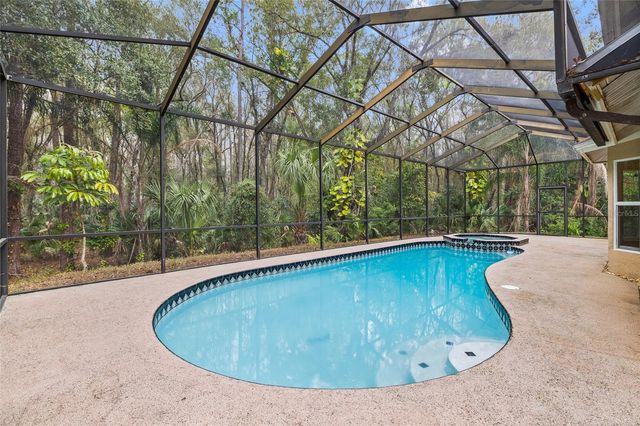 16105 CAMBRIA COURT, Tampa, FL 33647