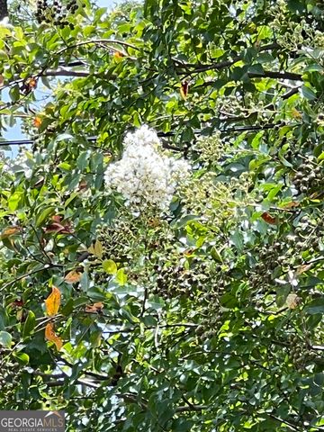 304 Butler Drive, Brunswick, GA 31523