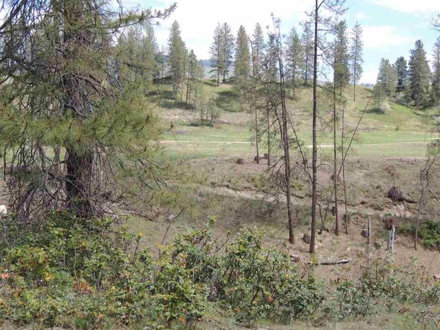 2748 House Rd, Kettle Falls, WA 99141