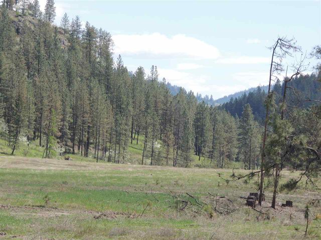 2748 House Rd, Kettle Falls, WA 99141