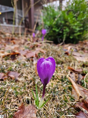 2475 E Potter Road, Traverse City, MI 49696