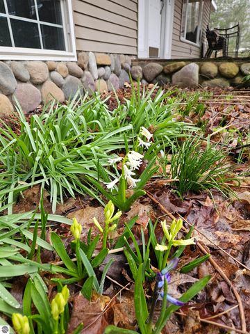 2475 E Potter Road, Traverse City, MI 49696