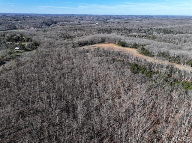 0 Scanlon Drive, De Soto, MO 63020