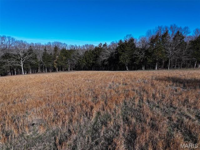 0 Scanlon Drive, De Soto, MO 63020