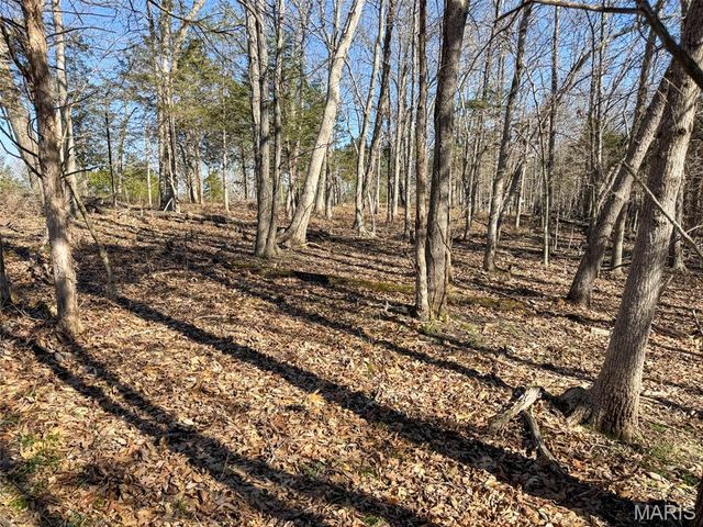 0 Scanlon Drive, De Soto, MO 63020