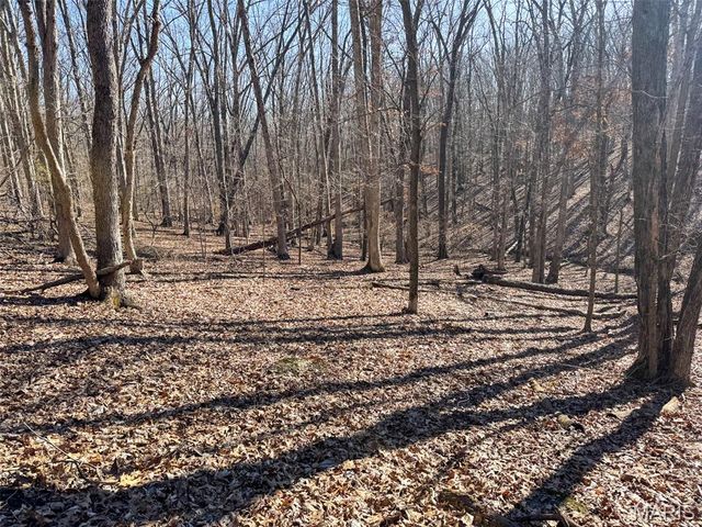 0 Scanlon Drive, De Soto, MO 63020