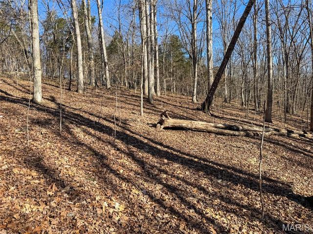 0 Scanlon Drive, De Soto, MO 63020