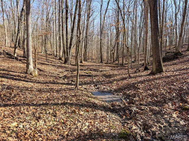 0 Scanlon Drive, De Soto, MO 63020