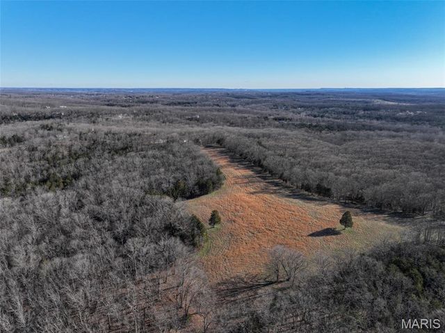 0 Scanlon Drive, De Soto, MO 63020