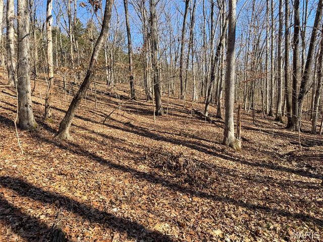 0 Scanlon Drive, De Soto, MO 63020