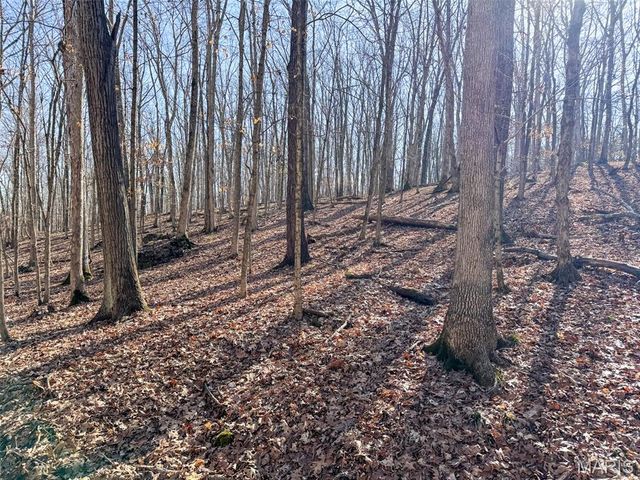 0 Scanlon Drive, De Soto, MO 63020