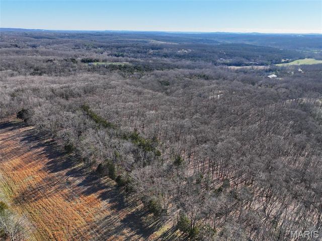 0 Scanlon Drive, De Soto, MO 63020