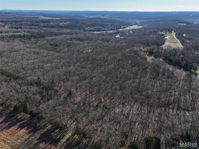 0 Scanlon Drive, De Soto, MO 63020