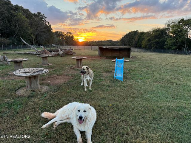 160 Mcdonald Rd, Sweetwater, TN 37874