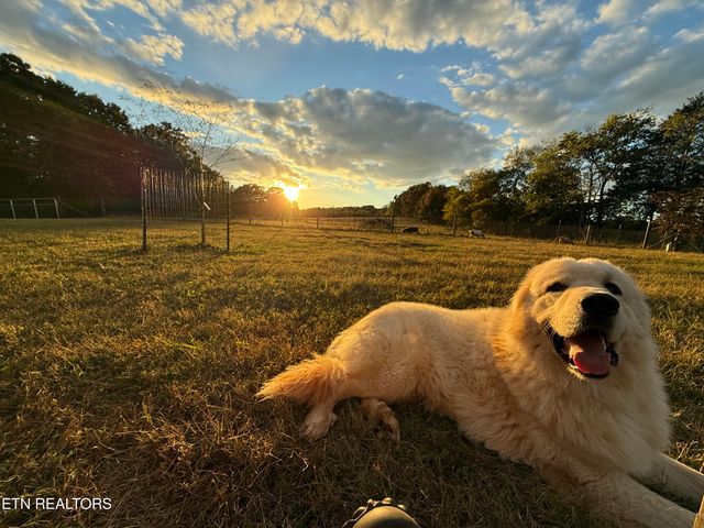 160 Mcdonald Rd, Sweetwater, TN 37874