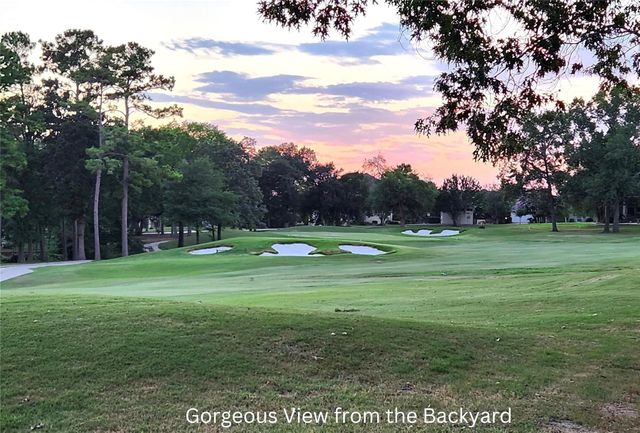38 Fairway Park, Montgomery, TX 77356