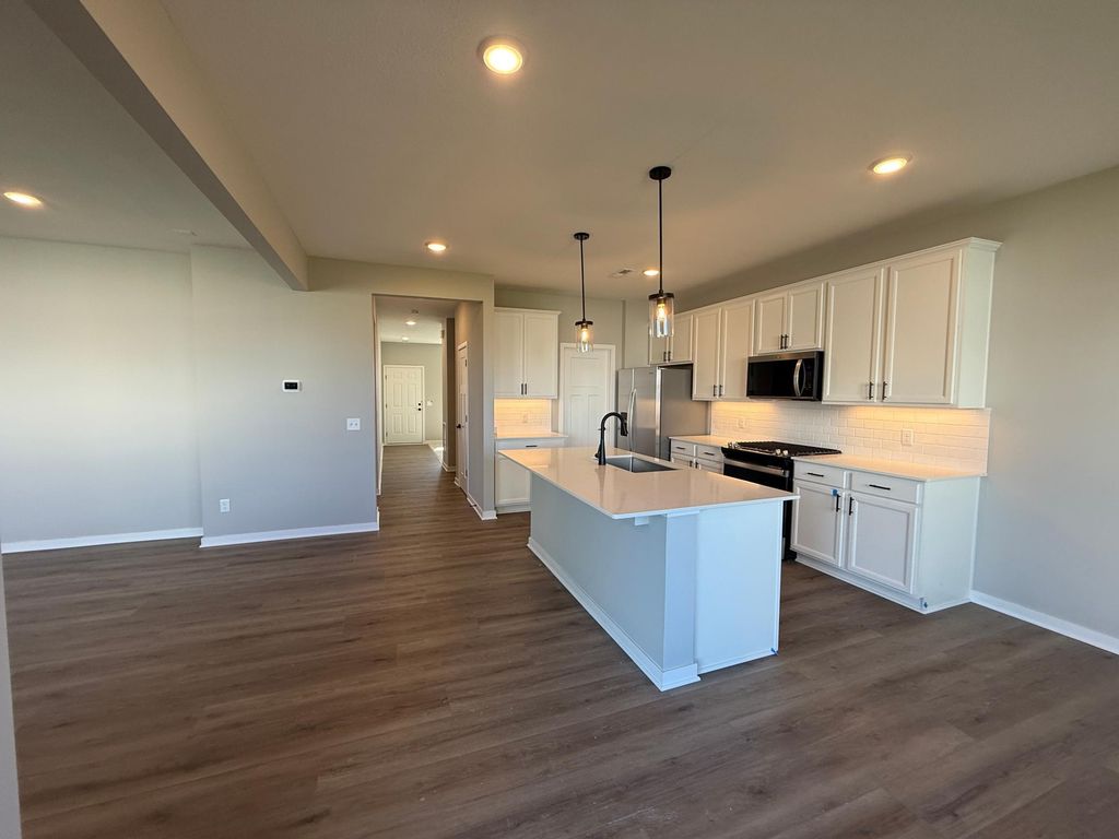 15165 Amber Fields Boulevard, Rosemount, MN 55068 — photo 2