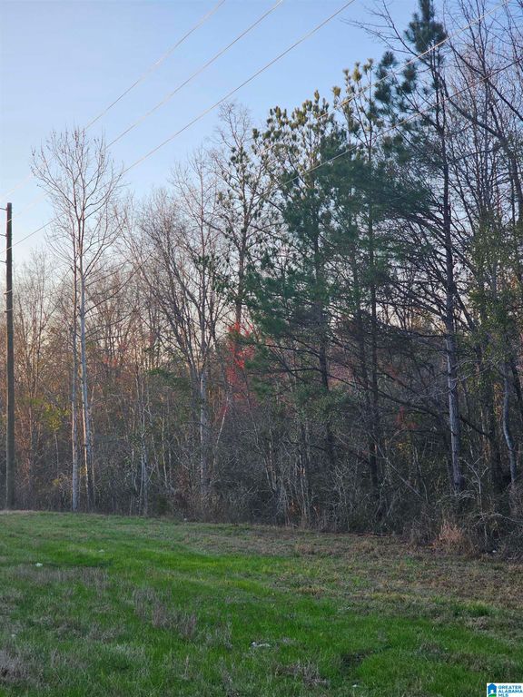 0 HIGHWAY 82, Maplesville, AL 36750