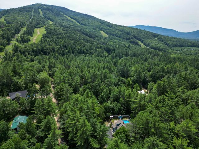 12 Tall Woods Loop, Bartlett, NH 03812