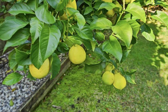 28 S Newport Dr, Napa, CA 94559