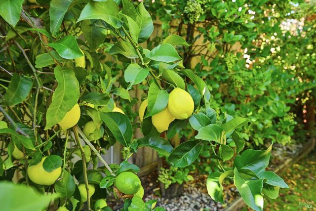 28 S Newport Dr, Napa, CA 94559