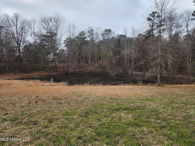 26 Charlie Daughdrill Road, Carriere, MS 39426