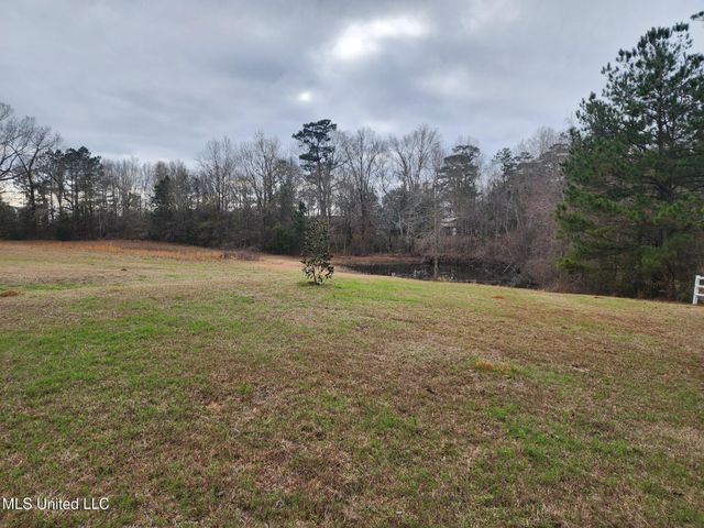 26 Charlie Daughdrill Road, Carriere, MS 39426