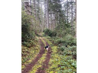 Hwy 101N, North Bend, OR 97459