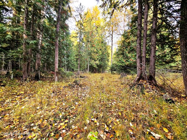 20Acres Beaver Creek Rd, Sandpoint, ID 83864