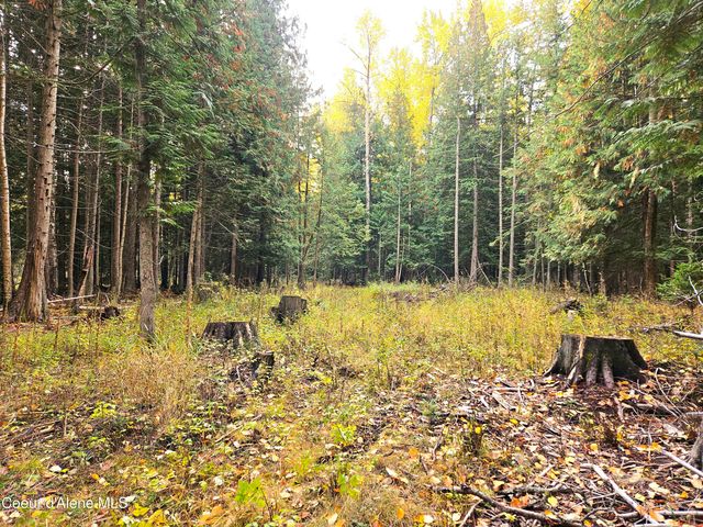 20Acres Beaver Creek Rd, Sandpoint, ID 83864