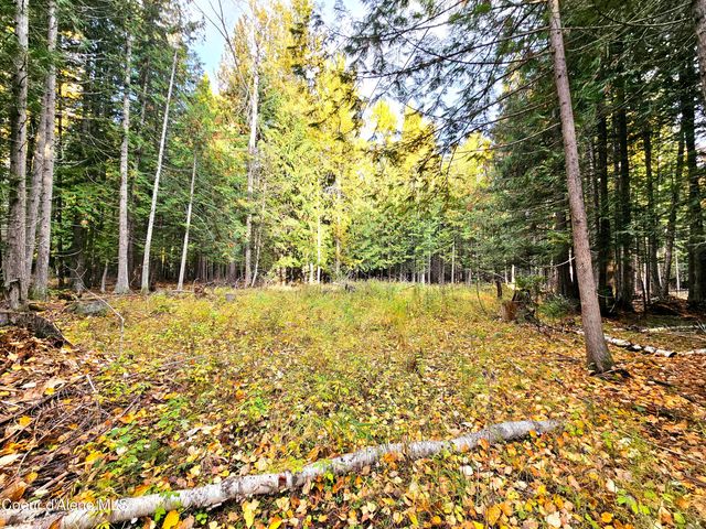 20Acres Beaver Creek Rd, Sandpoint, ID 83864