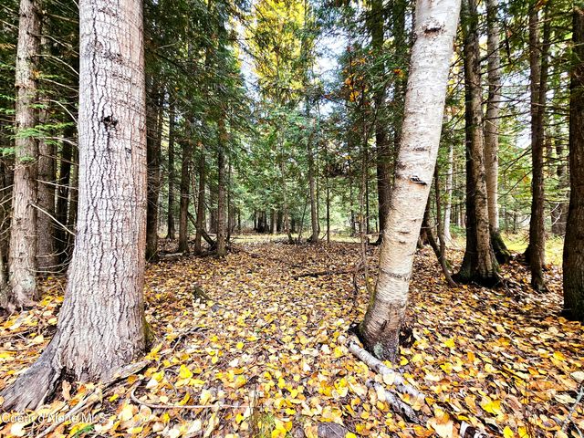 20Acres Beaver Creek Rd, Sandpoint, ID 83864