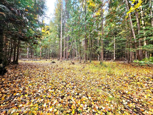 20Acres Beaver Creek Rd, Sandpoint, ID 83864