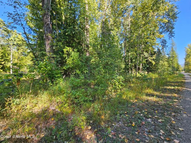 20Acres Beaver Creek Rd, Sandpoint, ID 83864