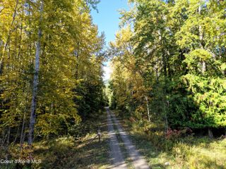 20Acres Beaver Creek Rd, Sandpoint, ID 83864