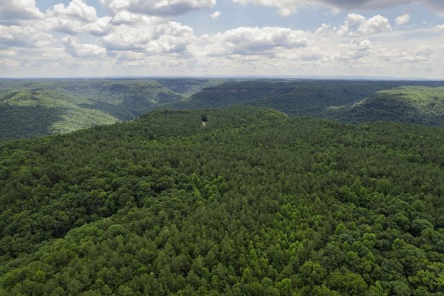1313 Flat Rock Rd, Jamestown, TN 38556
